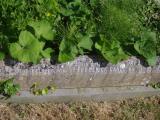 image of grave number 909083